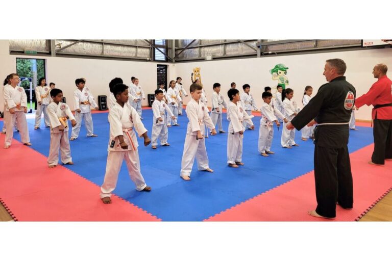 Kids martial arts training