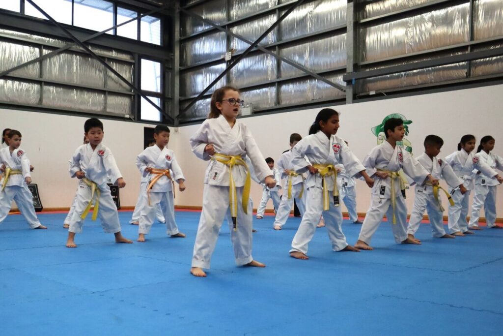 Kids karate class