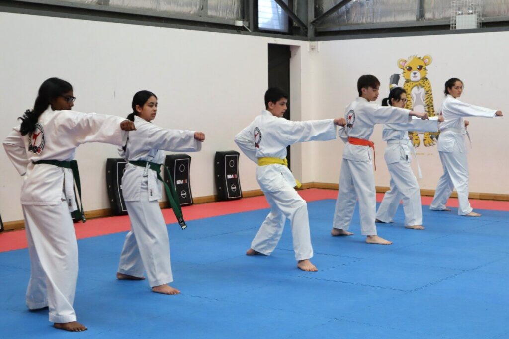 Teens doing karate kata