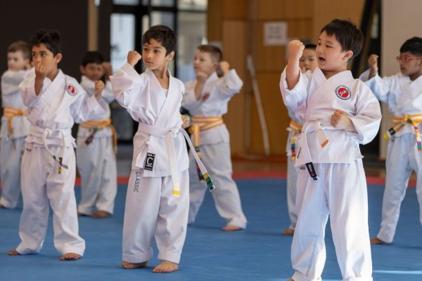 4-6 year old kids karate class